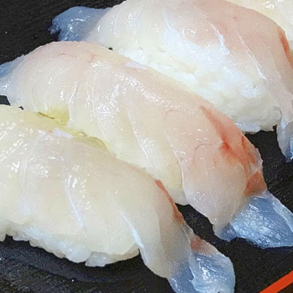 광어초밥 맛있게 만드는 법