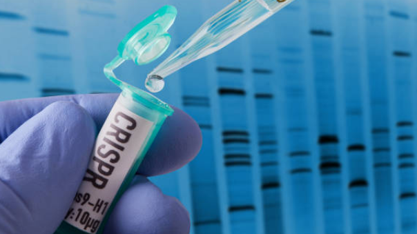 신경퇴행성 질환 치료를 위한 유전자 편집 기술(CRISPR, Zinc Finger 등)의 활용