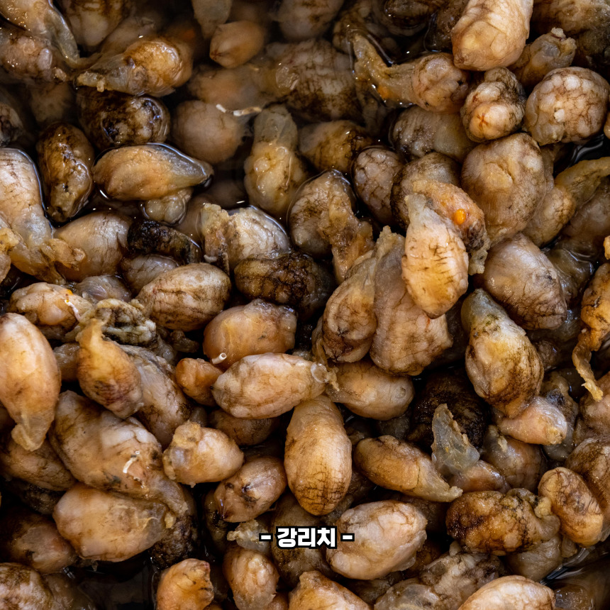 미더덕 손질법