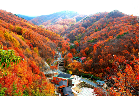 민주지산 자연휴양림