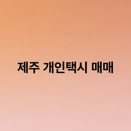 제주 개인택시 매매