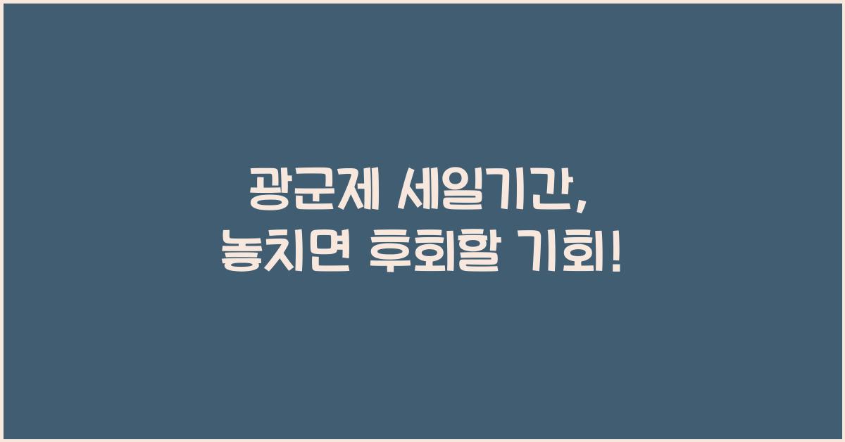 광군제 세일기간