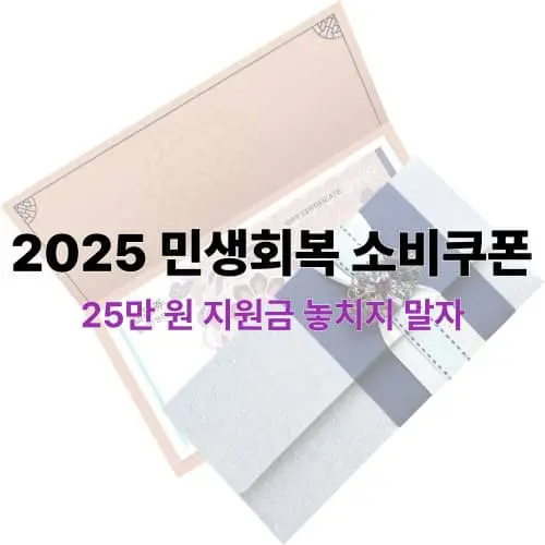 민생회복 소비쿠폰