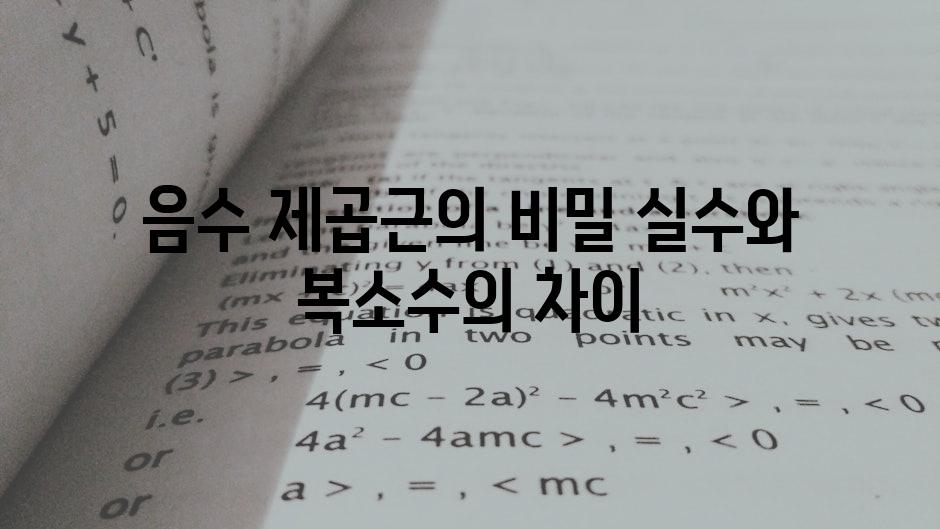 음수 제곱근의 비밀 실수와 복소수의 차이