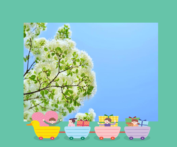 전주 이팝나무 축제