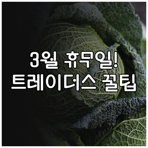 2026년 3월 양산 트레이더스 영업..