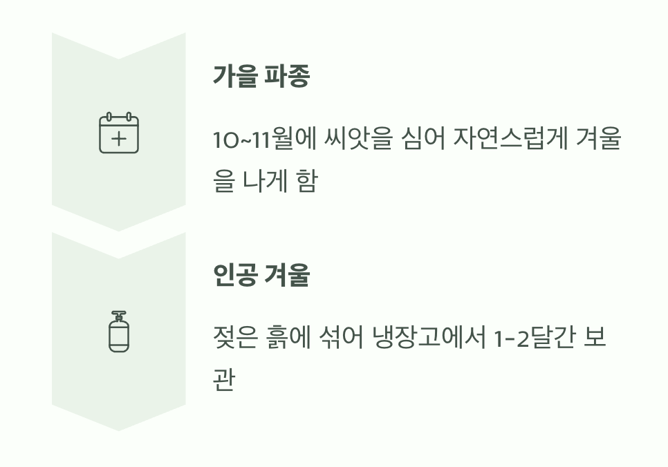 가장 중요한 첫 관문, 씨앗 뿌리기