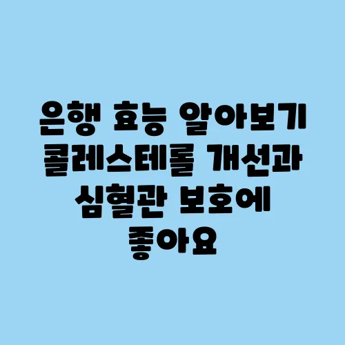은행 효능 알아보기 콜레스테롤 개선과 심혈관 보호에 좋아요