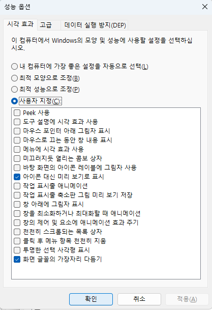 시스템 설정 성능 옵션