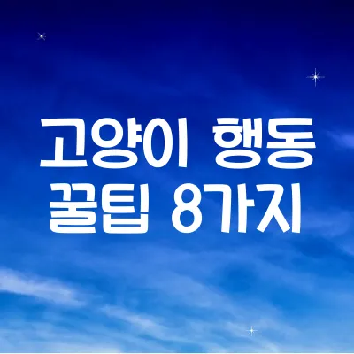 고양이한테 인기 있는 행동