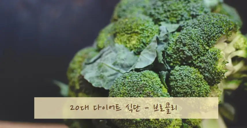 20대 다이어트 식단 & 저칼로리 음식 추천