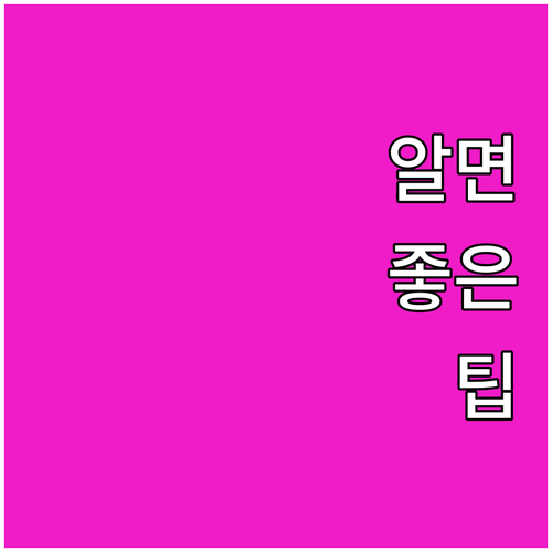 교외? 도심? 나에게 맞는 운전 연수