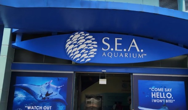 S.E.A. 아쿠아리움 관련 사진