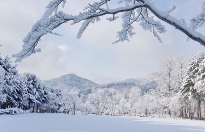 1월 강원도 가볼만한곳 ❘ 국내 겨울 갈만한곳 새해 여행지 추천 ❘ 데이트 여행 가족 실내 나들이 당일치기