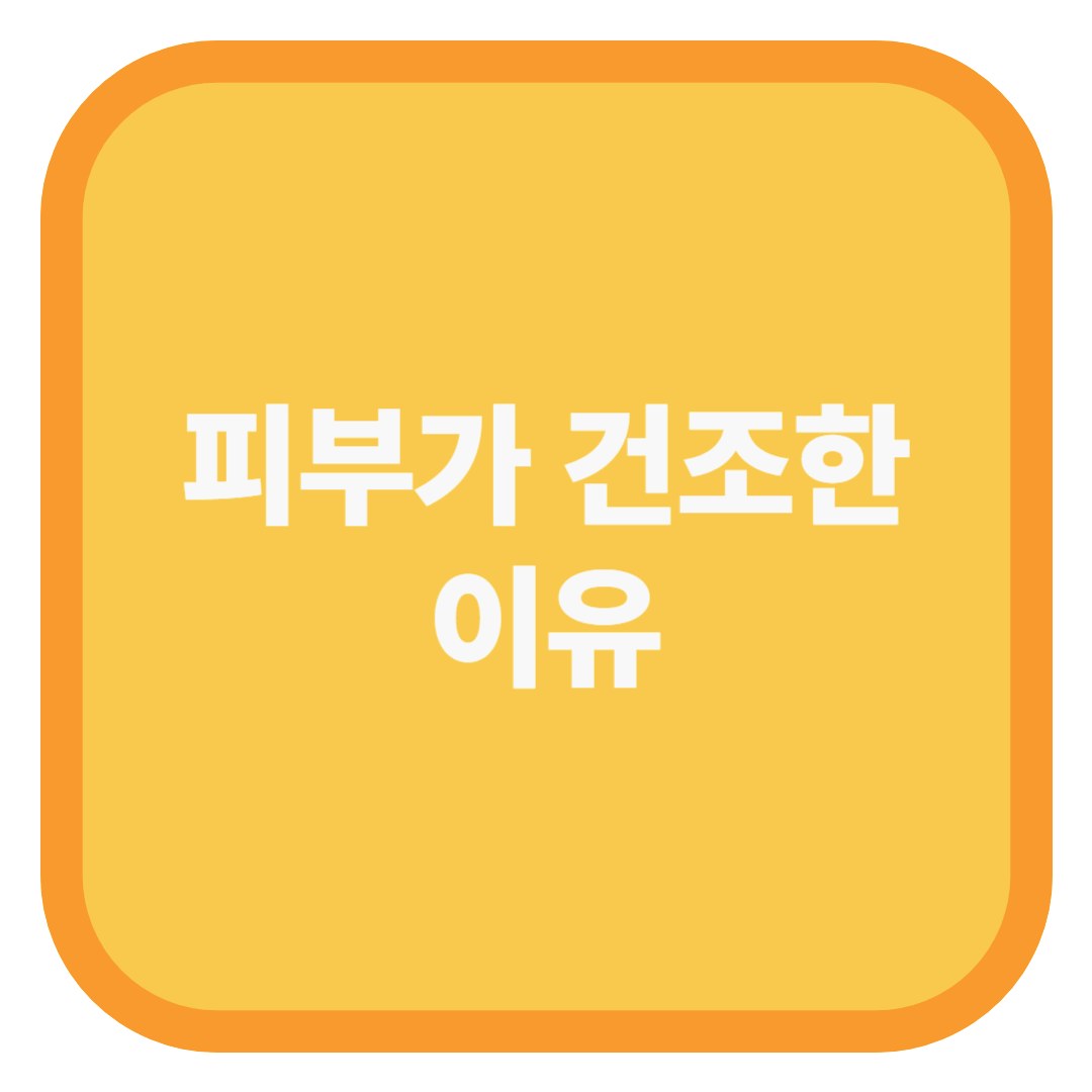 피부가 건조한 이유