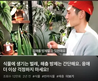 화분 응애 방제 초기발견 잎뒷면확인 샤워식세척 비누물활용 팁_8