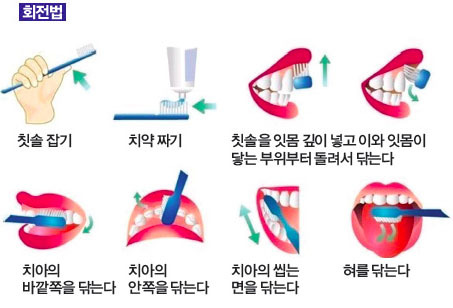 양치하는-방법-회전법