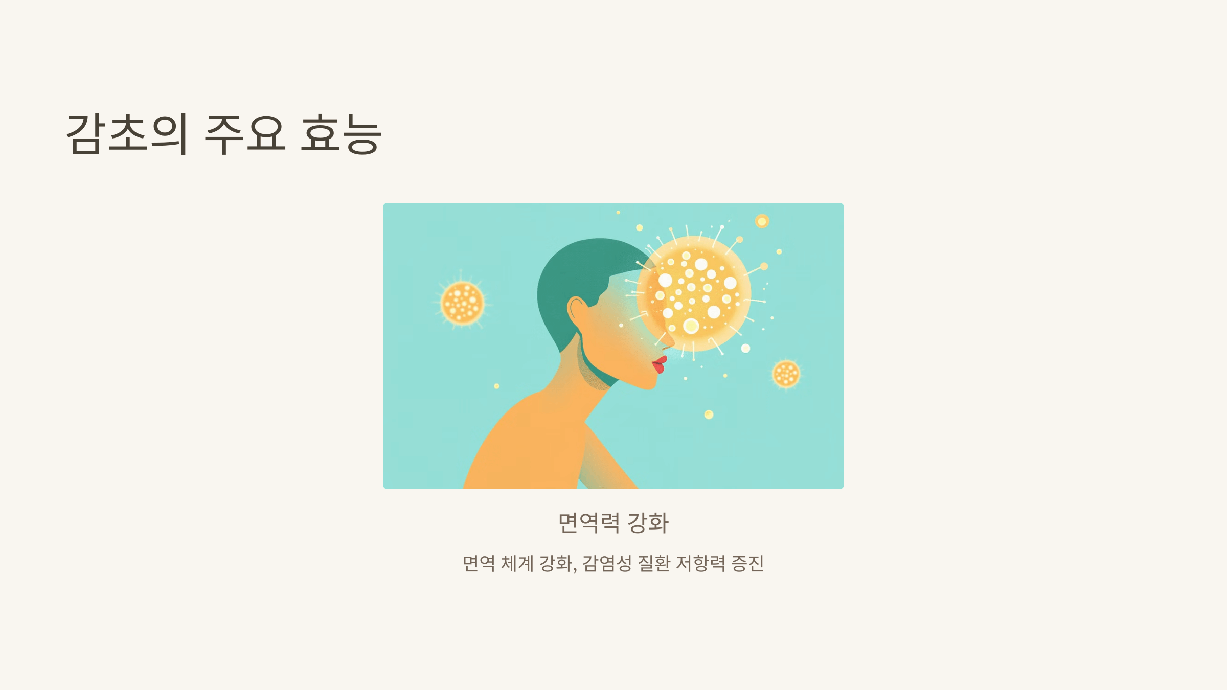 감초 사진입니다.