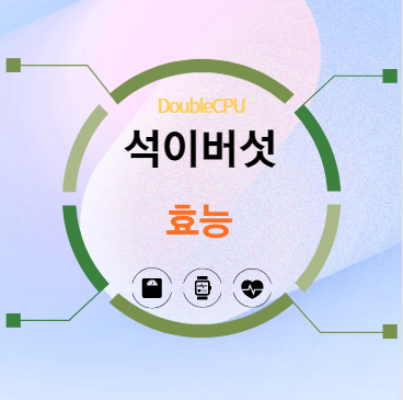 석이버섯 효능 탐구