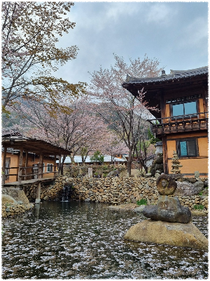 청학동체험마을