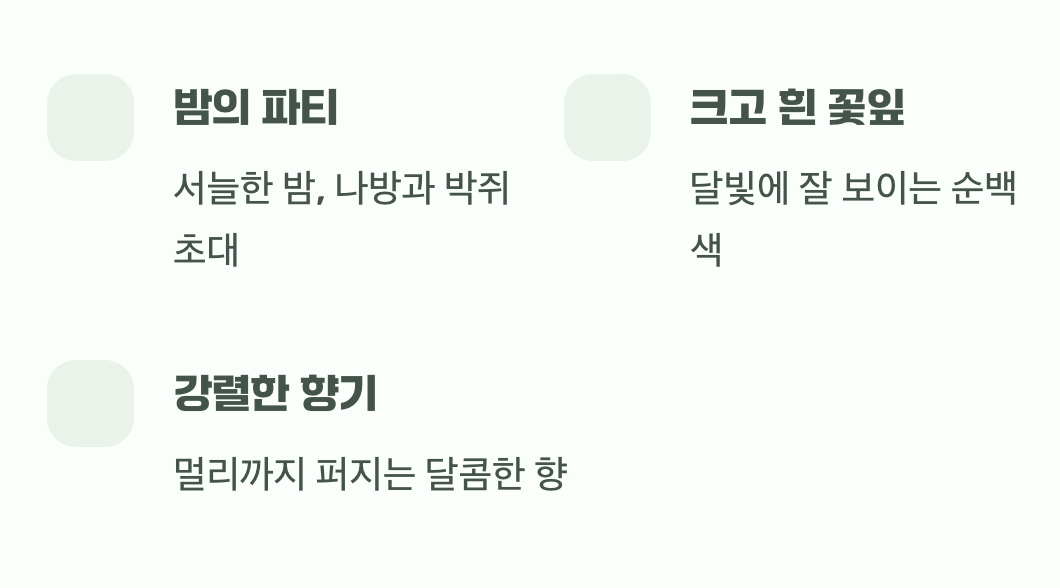 밤의 연회에 초대된 손님들