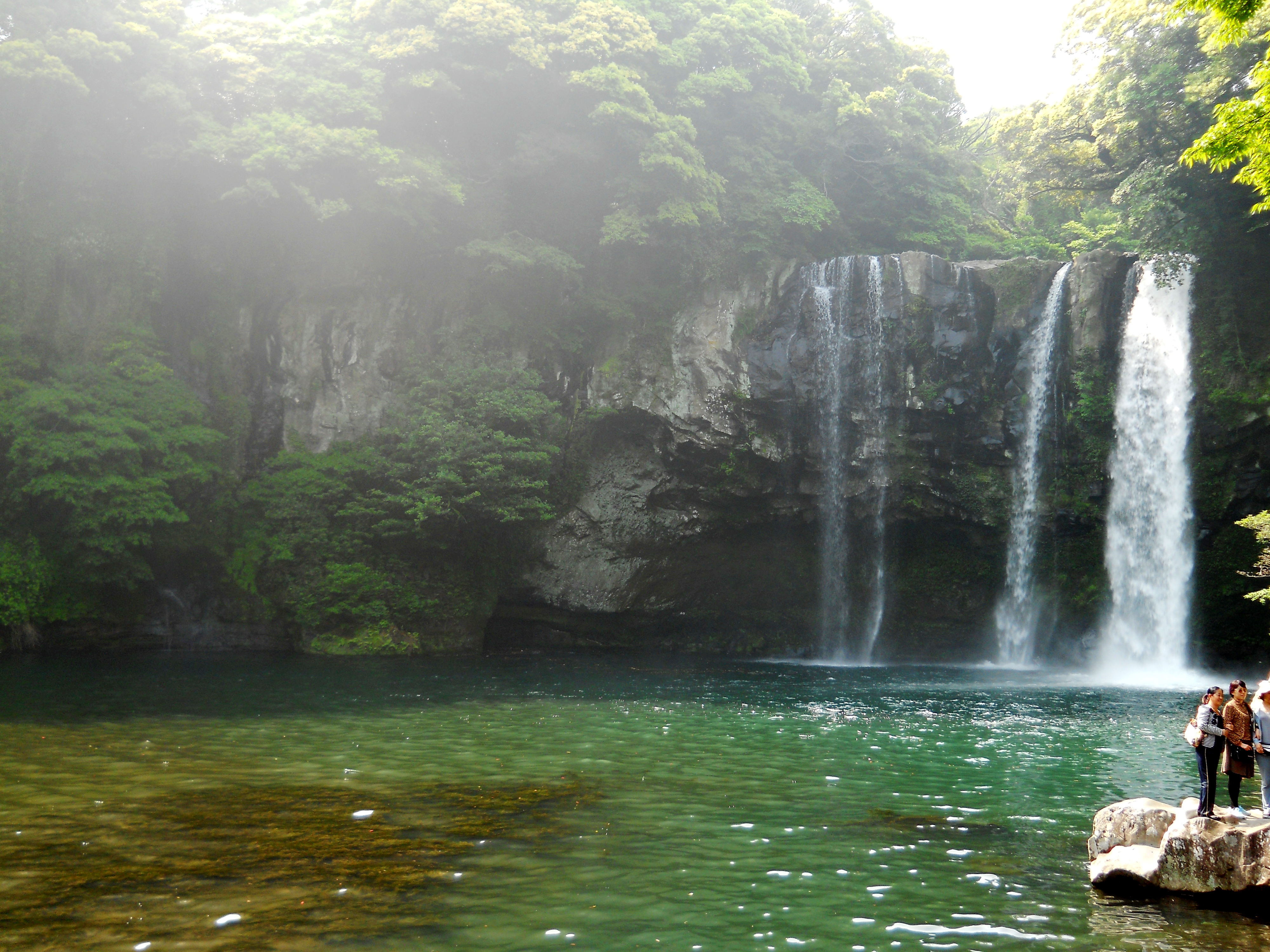 천지연폭포(Cheonjiyeon Pokpo Falls)
