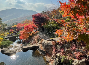 화담숲 단풍