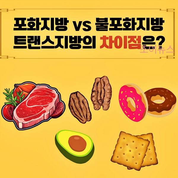 포화지방vs불포화지방vs트랜스지방의 차이는?