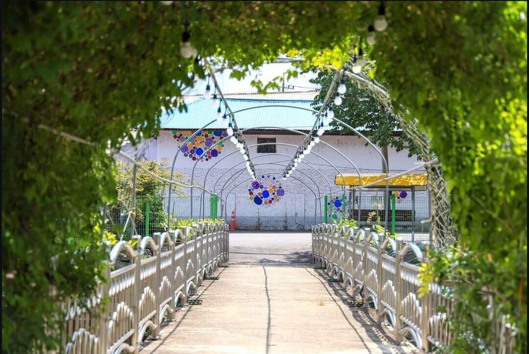 유구색동수국정원꽃축제