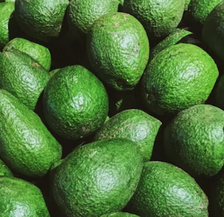 담석증에 좋은 음식 영양제 식단