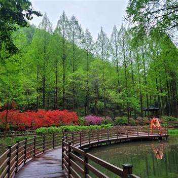 장태산 자연 휴양림 산책로
