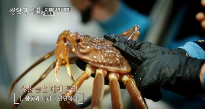 전현무 계획 2 영덕 대게 집