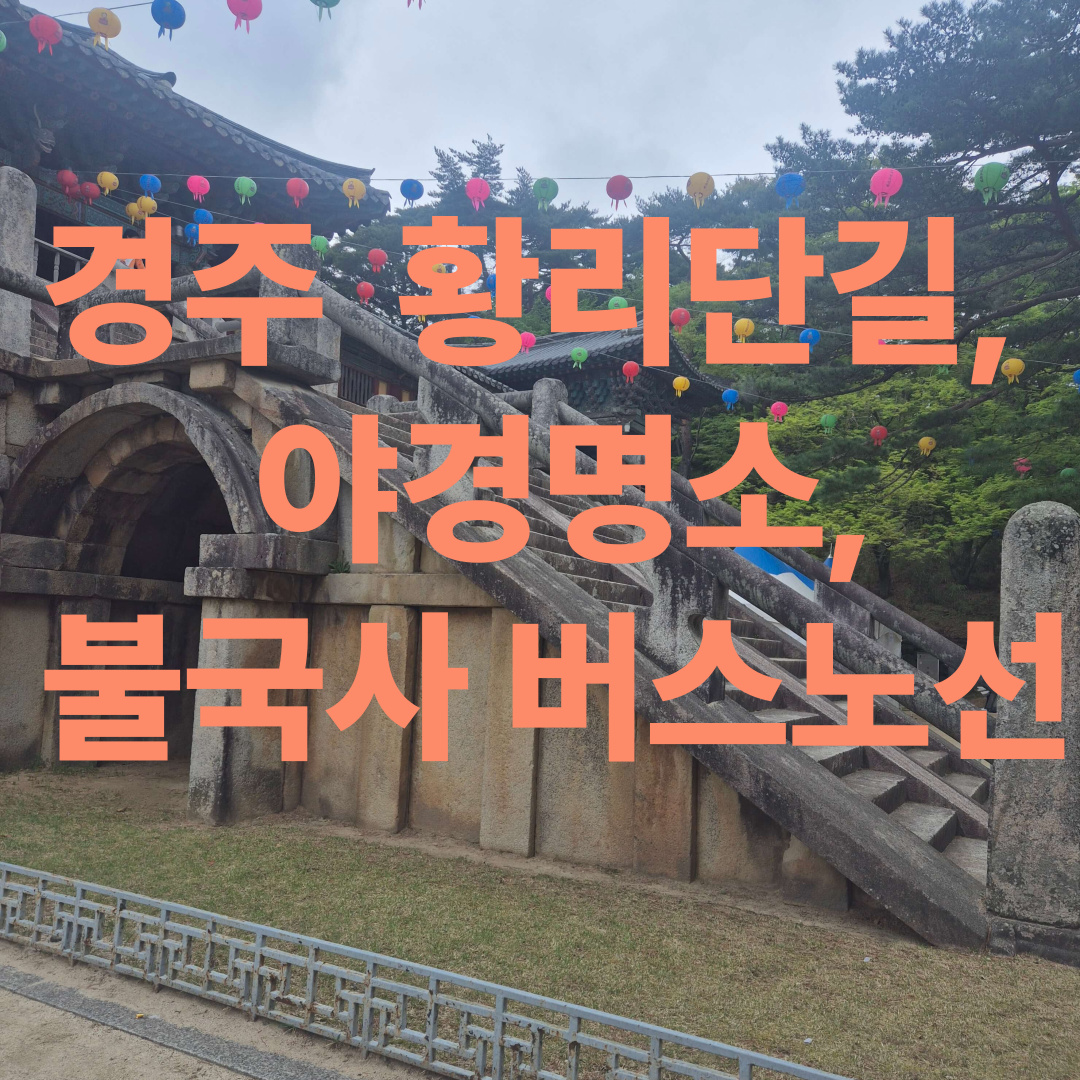 경주 여행, 황리단길, 야경 명소, 버스이동방법