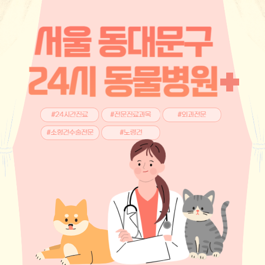 서울 동대문구 24시 동물병원