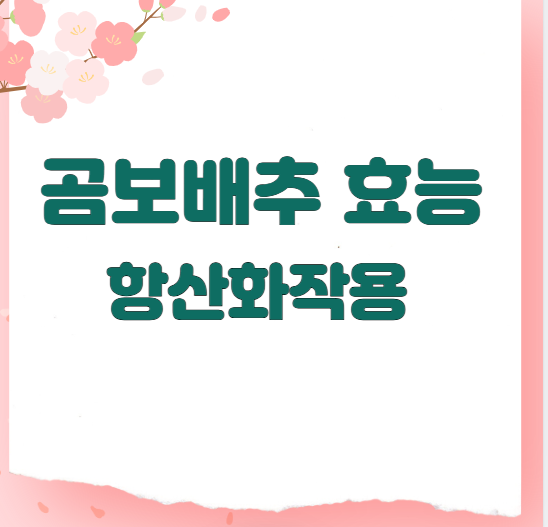 곰보배추 효능 항산화작용