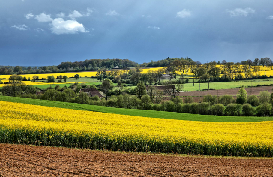 민원24시 건축물대장 무료발급&amp;#44; 5분 만에 발급부터 열람까지 총정리!