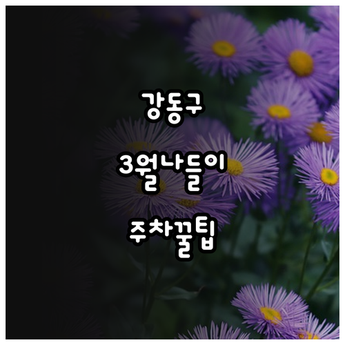 강동구 3월 나들이 장소 추천과 주차..
