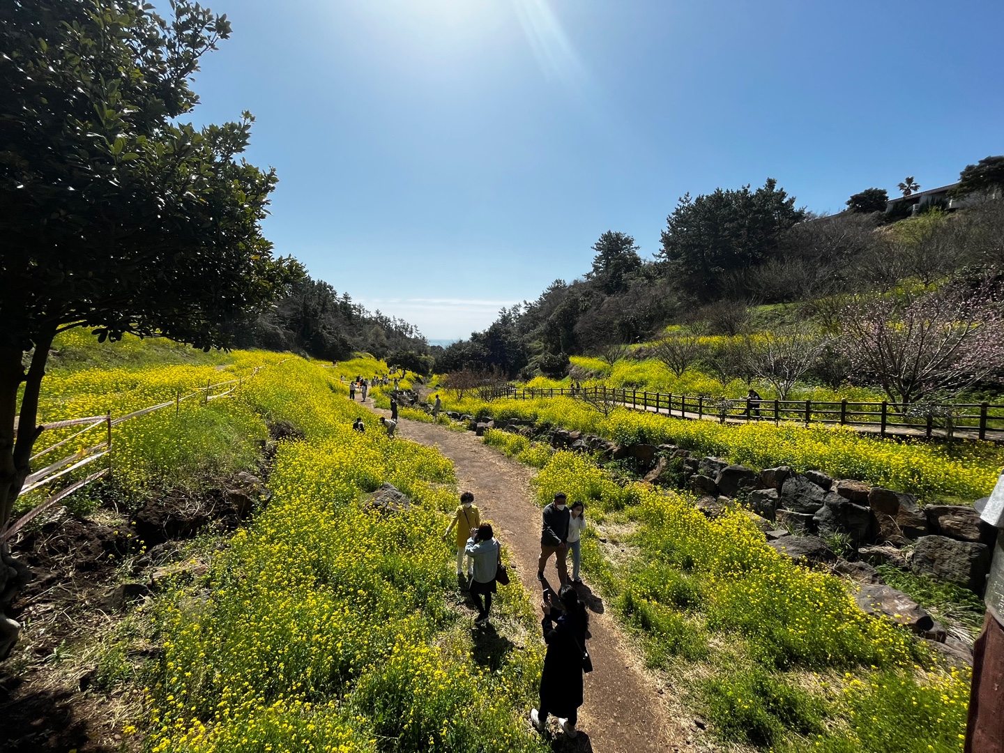 제주도엉덩물계곡