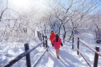 덕유산 등산코스 지도 곤돌라 구천동계곡 가족 트레킹 추천_28