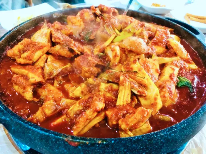 생방송오늘저녁 태안 안면도 튤립꽃축제 세계튤립꽃박람회 현지인 추천 매콤 칼칼한 아나고볶음 붕장어볶음 맛집