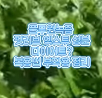 핏러브-엑스투-내돈내산-후기