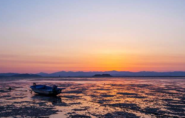 보령머드축제 2025 입장료 기간 행사 일정표 체험프로그램