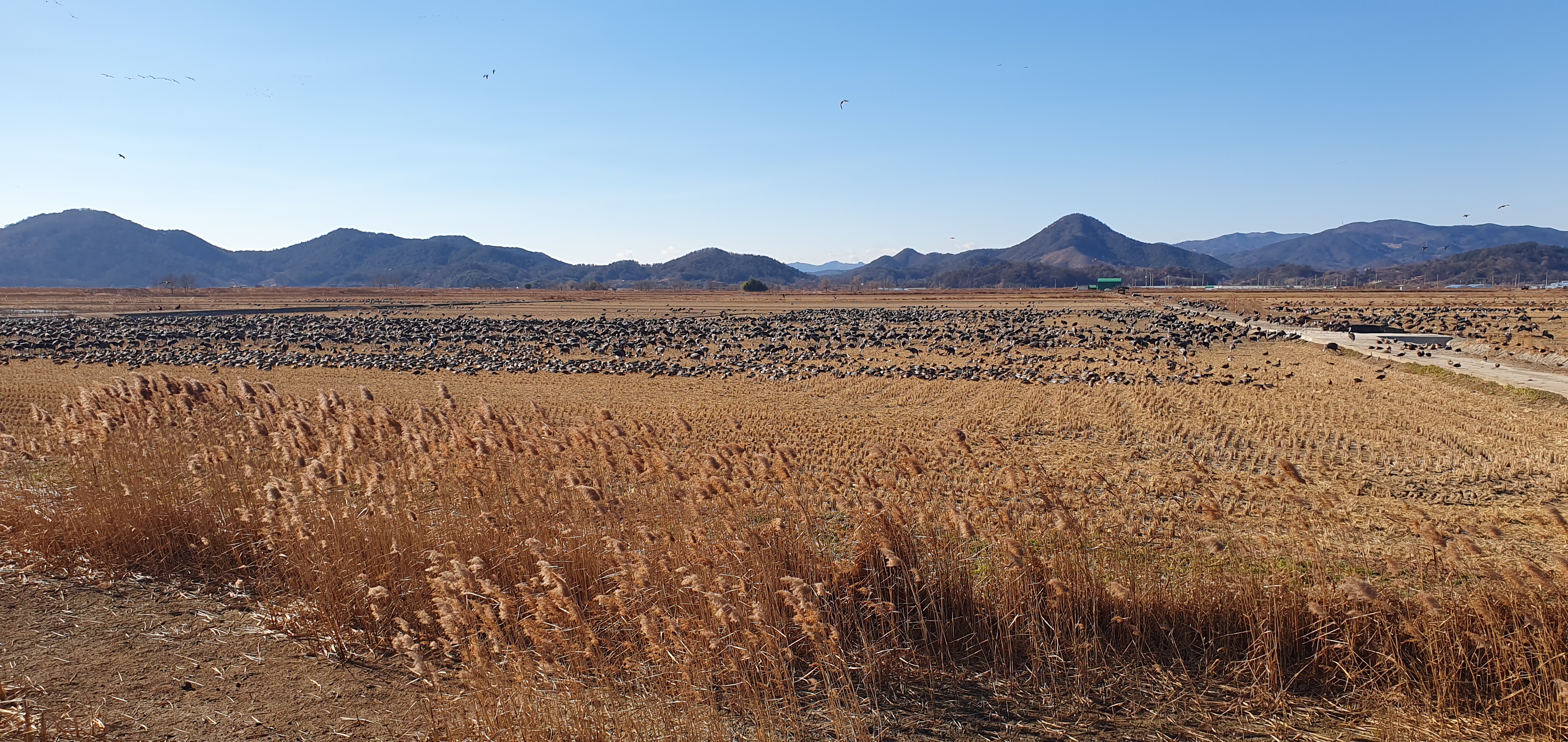 2026 해랑 열차 예약방법.코스.비용 총정리