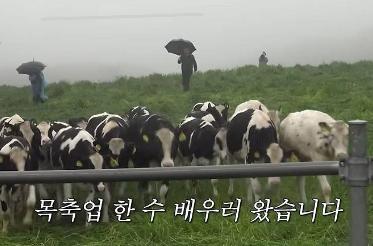 콩콩팜팜 촬영지 제주도 목장 위치 첫 방송 정리