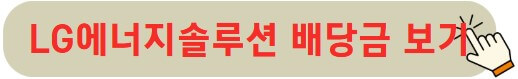 LG에너지솔루션 배당금