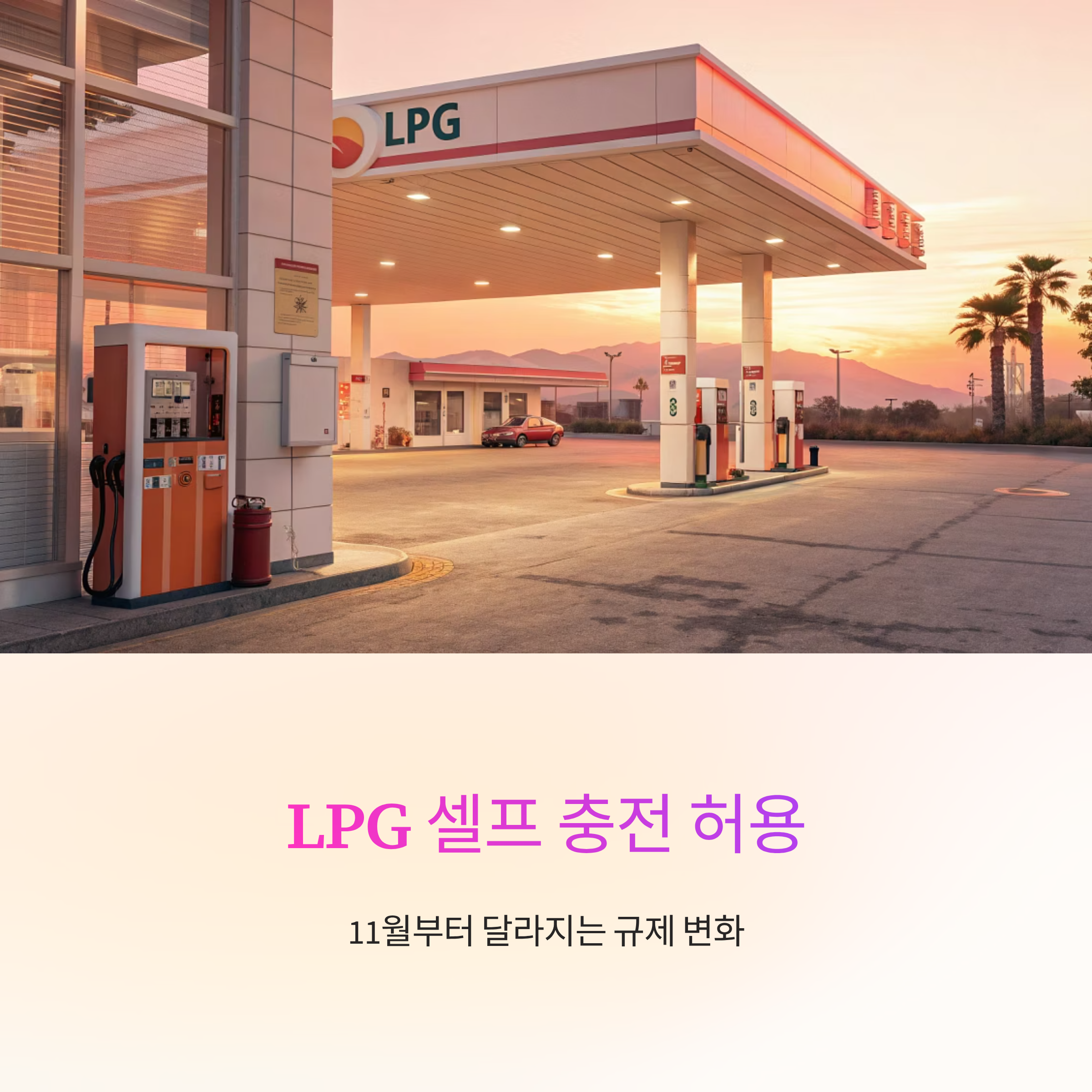 LPG 셀프 충전 허용, 반려동물 시장 확대 11월부터 달라지는 규제 변화