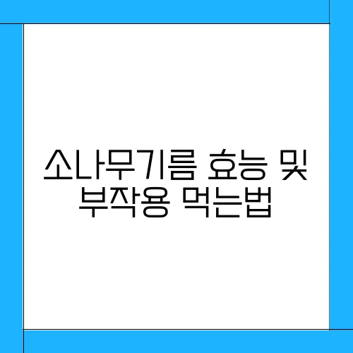 소나무기름 효능 및 부작용 먹는법