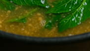 아욱국 맛있게 끓이는 방법