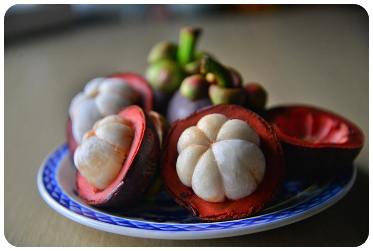 망고스틴 영양 성분