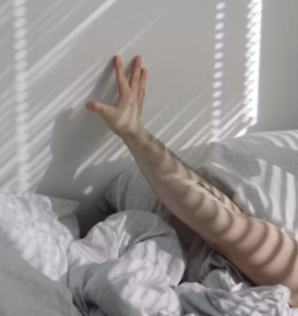 수족냉증 영양제